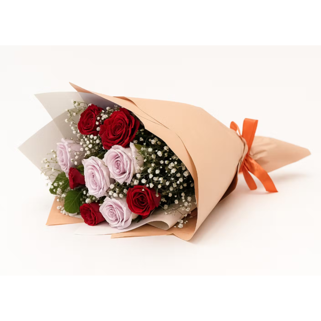 10 Purple red roses, send flowers to amman