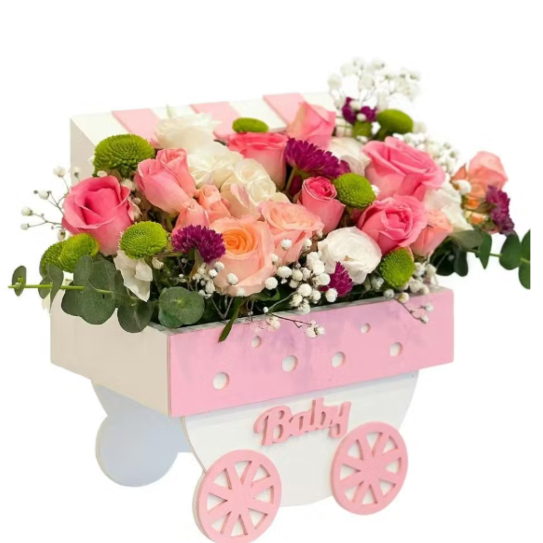 Its A Girl, send gifts flowers for baby girl to amman