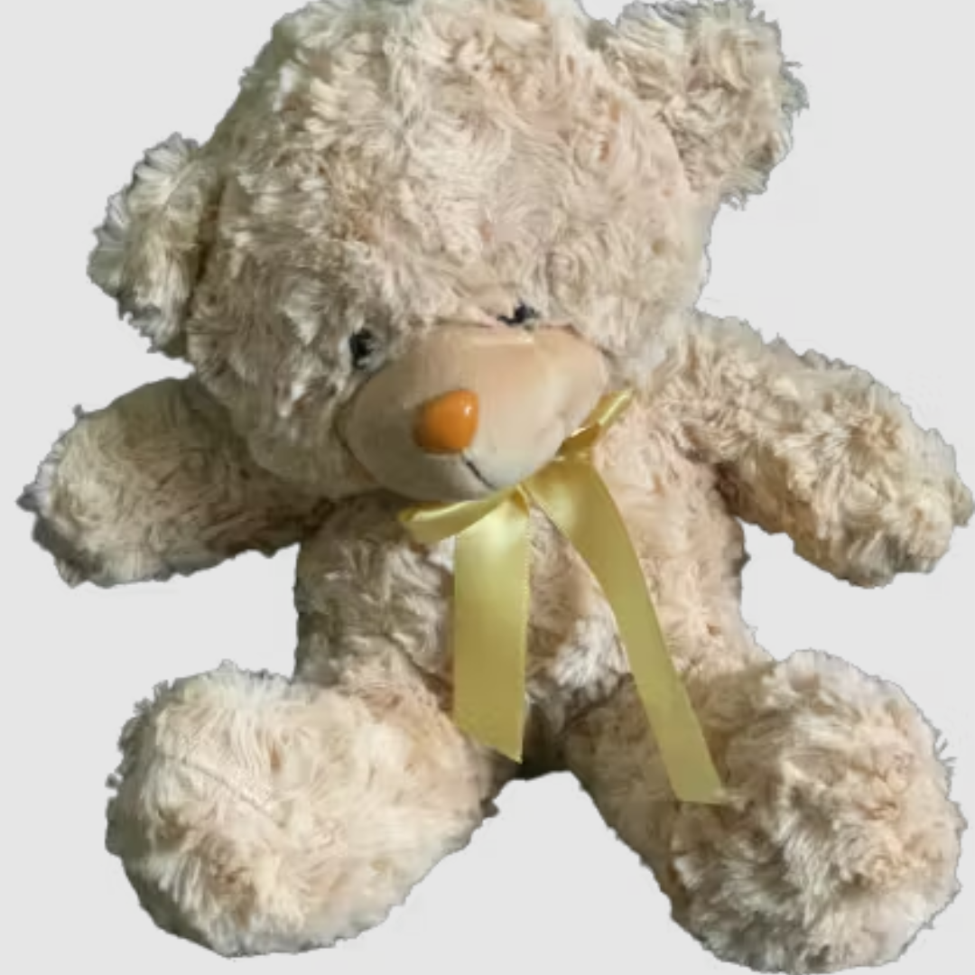 Mini Bear, send teddy bear to amman jordan
